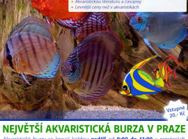 Rybyarybicky.cz advertisement